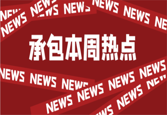 高壓、低壓接入的工商業(yè)儲(chǔ)能電站長啥樣？